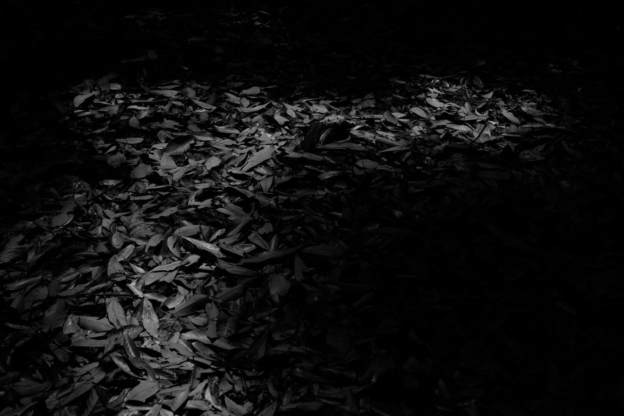2015/06/150607_X-T1-02.jpg