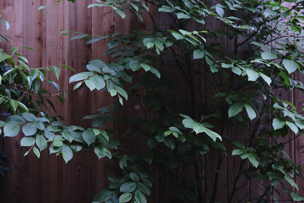 2016/05/XPR4416_X-Pro2.jpg